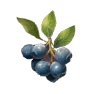 Forest Berries, Nicht zugeordnet, Inventar-Icon aus Epitome