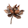 Withered Lotus, Nicht zugeordnet, Inventar-Icon aus Epitome