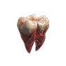 Goblin Tooth, Nicht zugeordnet, Inventar-Icon aus Epitome