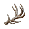 Elk Antler, Nicht zugeordnet, Inventar-Icon aus Epitome