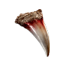 Wolf Fang, Nicht zugeordnet, Inventar-Icon aus Epitome