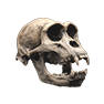 Monkey Skull, Nicht zugeordnet, Inventar-Icon aus Epitome