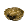 Chitin Carapace, Nicht zugeordnet, Inventar-Icon aus Epitome