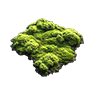 Meadow Moss, Nicht zugeordnet, Inventar-Icon aus Epitome