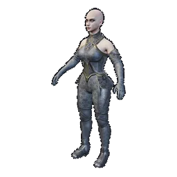 Division Carapace Armor, Ausrüstung, 3D-Modell aus Epitome