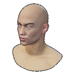 NinjaM FaceMesh, Träger, 3D-Modell aus Epitome