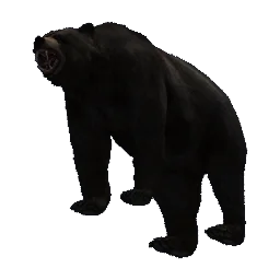 Bear, Kreatur, 3D-Modell aus Epitome