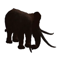 Elephant, Kreatur, 3D-Modell aus Epitome