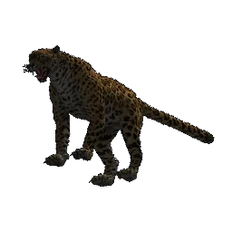 Leopard, Kreatur, 3D-Modell aus Epitome